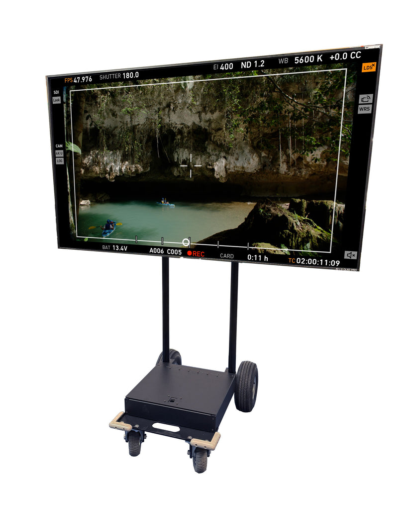 65 inch LG Pro Cage with Pro SDI to HDMI Converter